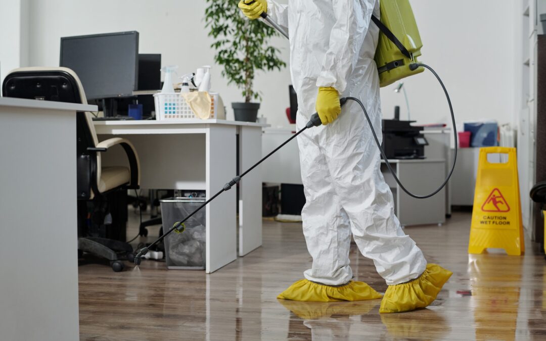 Professional vs. Private: Choosing Your Office Cleaners