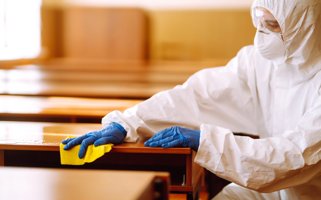 Expert School Cleaning Services for Brighton & Hove